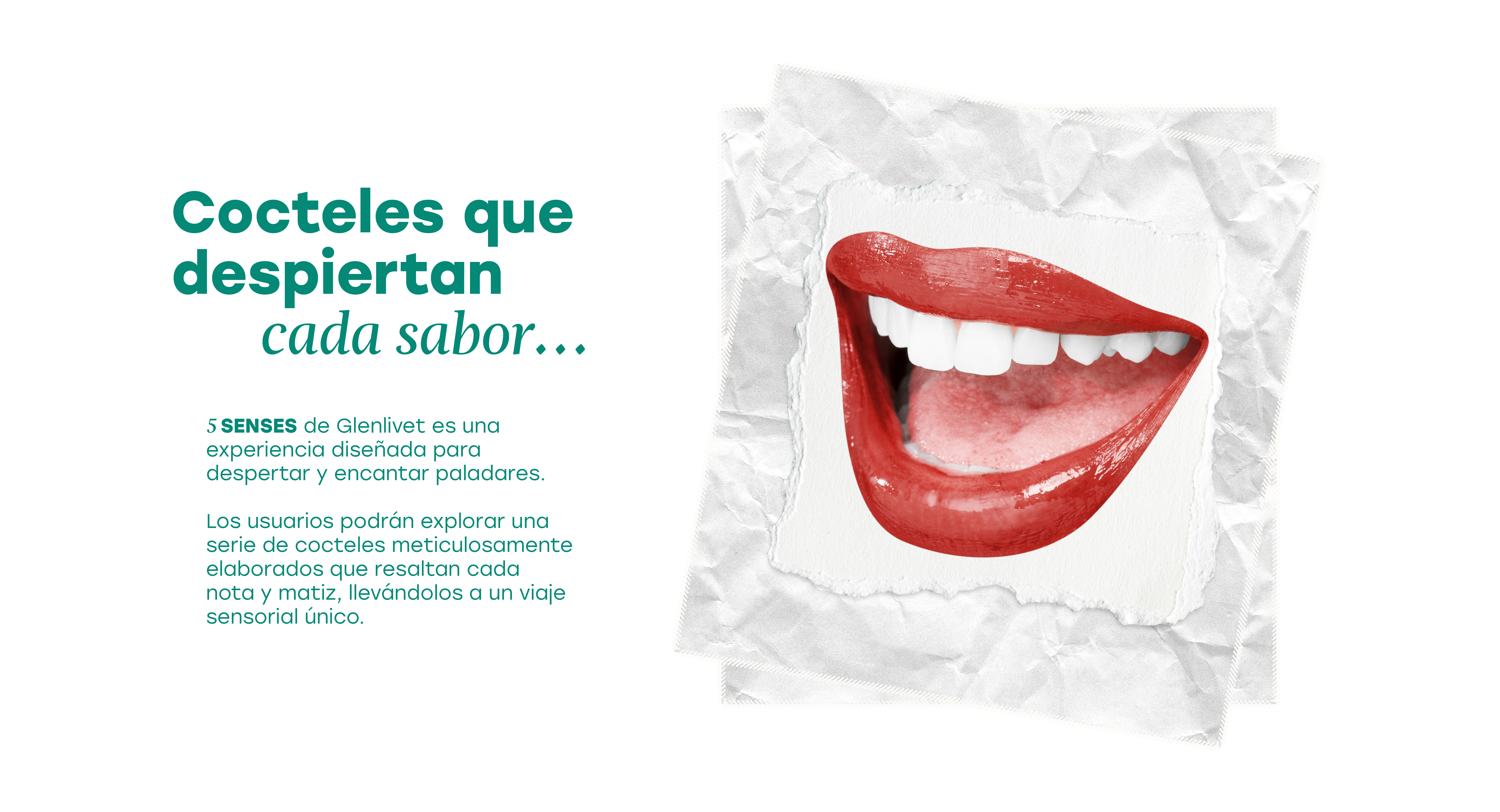 Proyecto 1